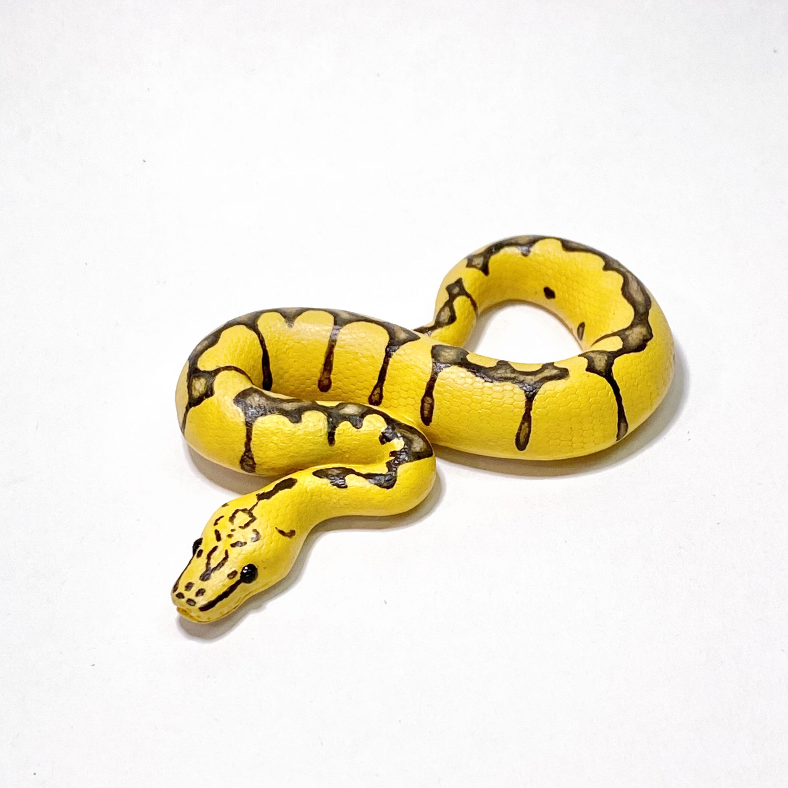 Black Pastel Ball Python Miniature // Figure // Ball Python 