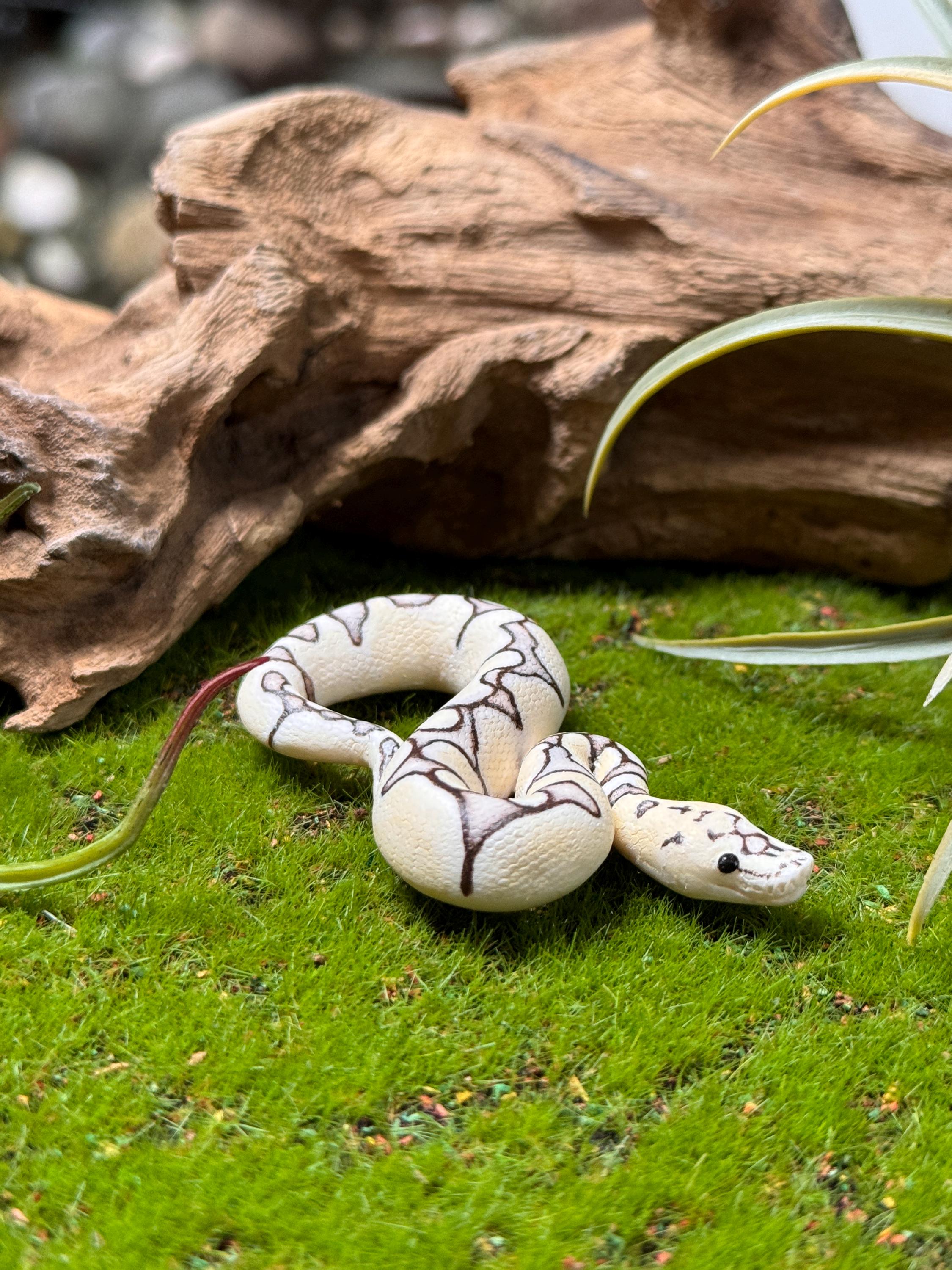 Desert Ghost Clown Ball Python Miniature / Figurine / Sculpture / Snake ...