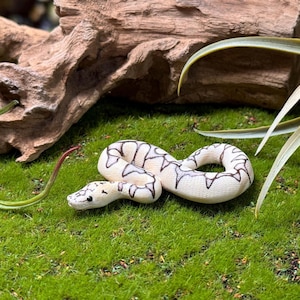 Desert Ghost Clown Ball Python Miniature / Figurine / Sculpture / Snake Pendant / Replica / Gift