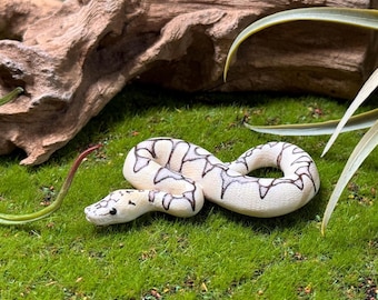Desert Ghost Clown Ball Python Miniature / Figurine / Sculpture / Snake Pendant / Replica / Gift
