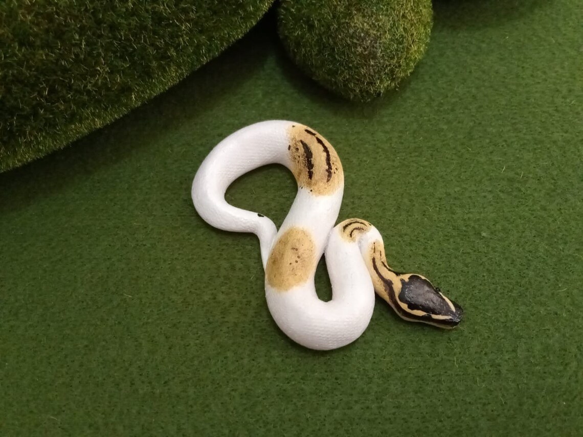 Customizable Ball Python Miniature // Ball Python Figure // | Etsy