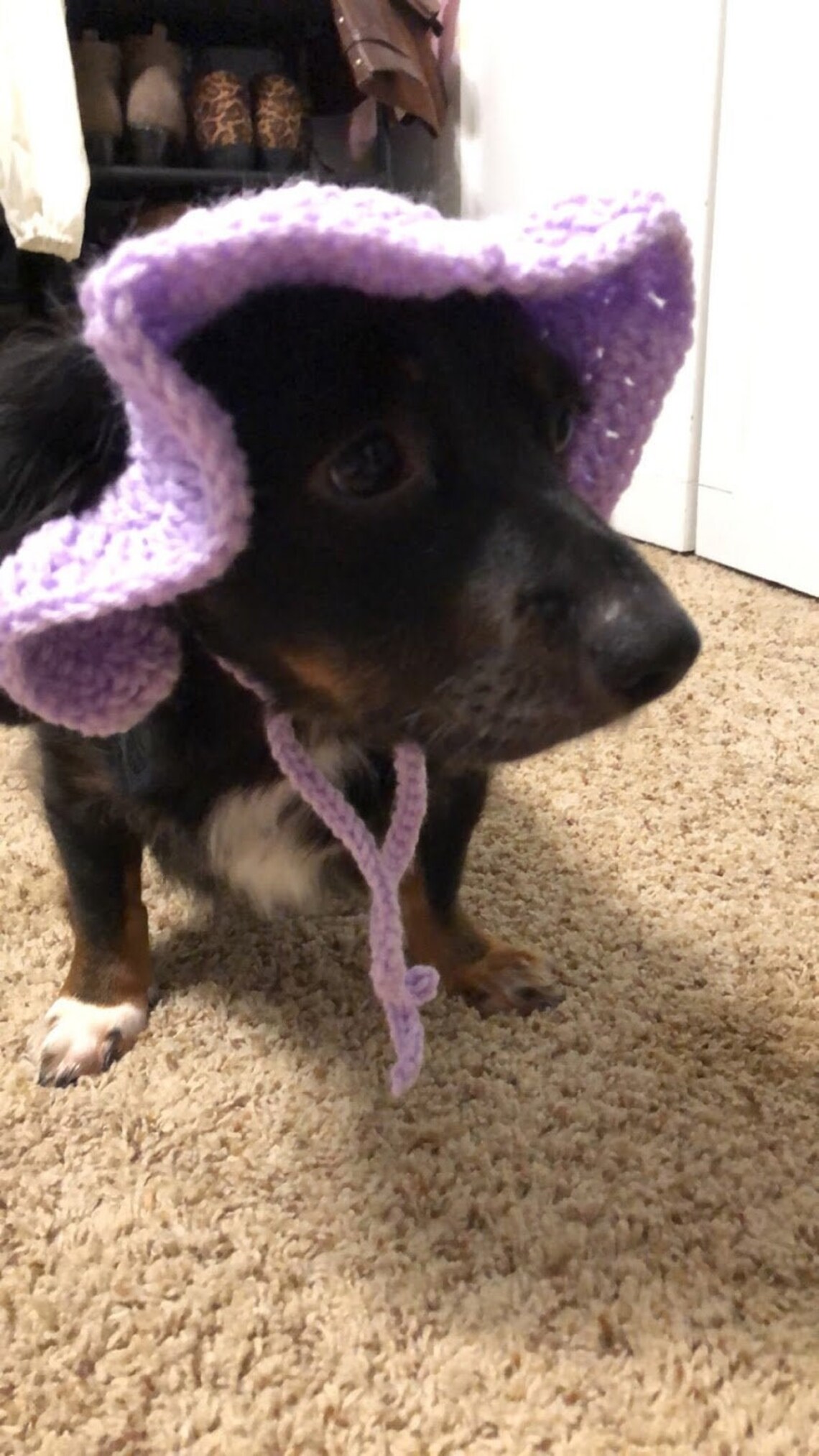 Made to Order crochet. dog hat bucket hat customizable Etsy
