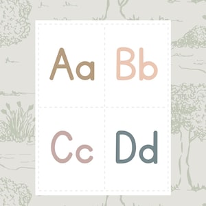 Tarjetas del alfabeto - Tarjetas didácticas con letras - Fonética - Lectura - Sonidos de las letras - Aprenda a leer - Educación en el hogar - Jardín de infantes - Primaria