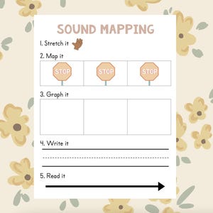 Mapeo de sonidos - Fonética - Aprender a leer - Sonidos de las letras - Palabras CVC - Escuela primaria - Educación en el hogar