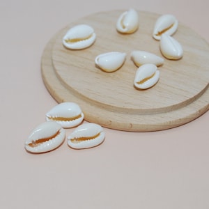 Set of 10 drilled cowrie shells for jewelry making