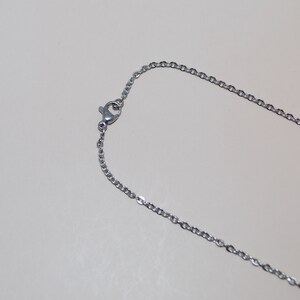 May include: A silver chain necklace with a lobster clasp closure.