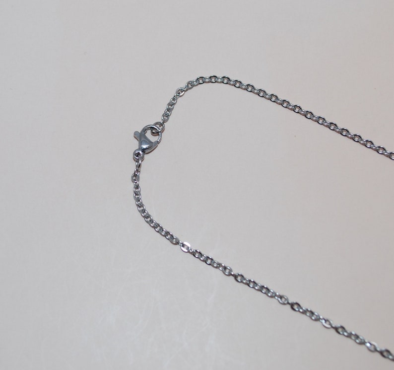 May include: A silver chain necklace with a lobster clasp closure.