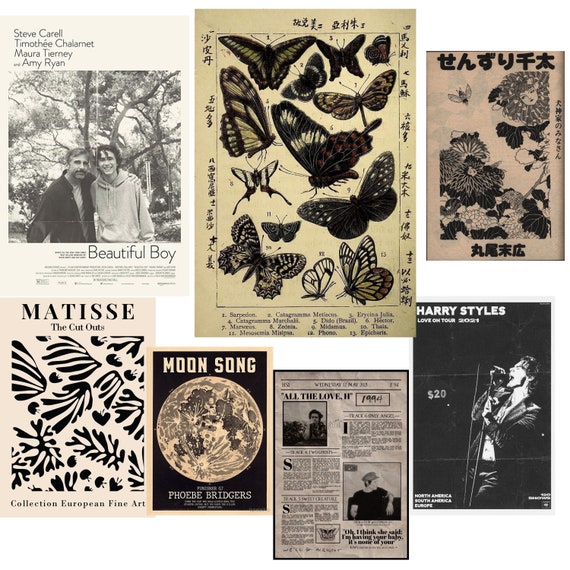 vintage posters , grunge , fairy ,dark academia aesthetic