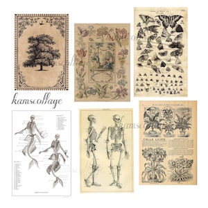 pack de carteles vintage de 6
