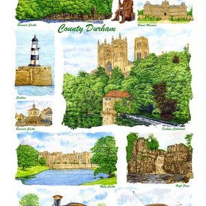 County Durham, (meerdere afbeeldingen) 100% katoenen theedoek