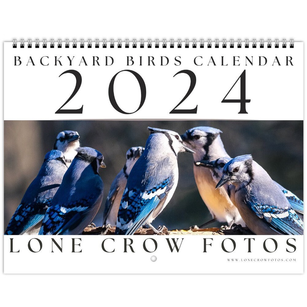 2024 Backyard Birds Calendar Photography Wall Calendar 12 Month Hanging