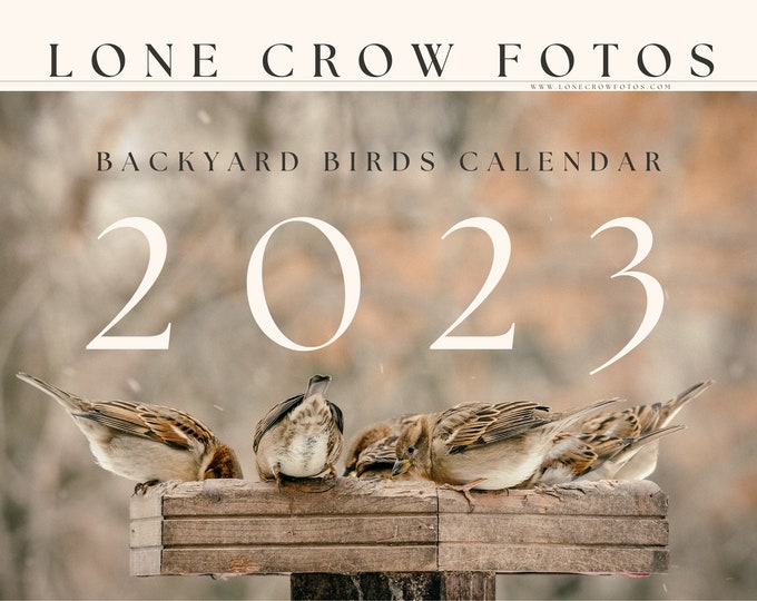 2023 Backyard Birds Calendar Photography Wall Calendar 12 Etsy