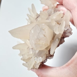 Calcite Specimen | Dog Tooth Calcite UV Reactive | Large Mineral Specimen