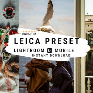 Könnte beinhalten: Ein digitales Produkt zum Bearbeiten von Fotos mit einem Leica-Preset für Lightroom und mobile Geräte. Das Bild zeigt eine Möwe, die über dem Meer fliegt, einen Tisch mit türkischem Brot und ein Fenster mit Blick auf ein Gebäude.