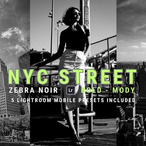 Könnte beinhalten: Schwarzweiß-Fotocollage von New York City mit dem Text "NYC STREET ZEBRA NOIR BOLD - MODY 5 LIGHTROOM MOBILE PRESETS INCLUDED" in Grün.