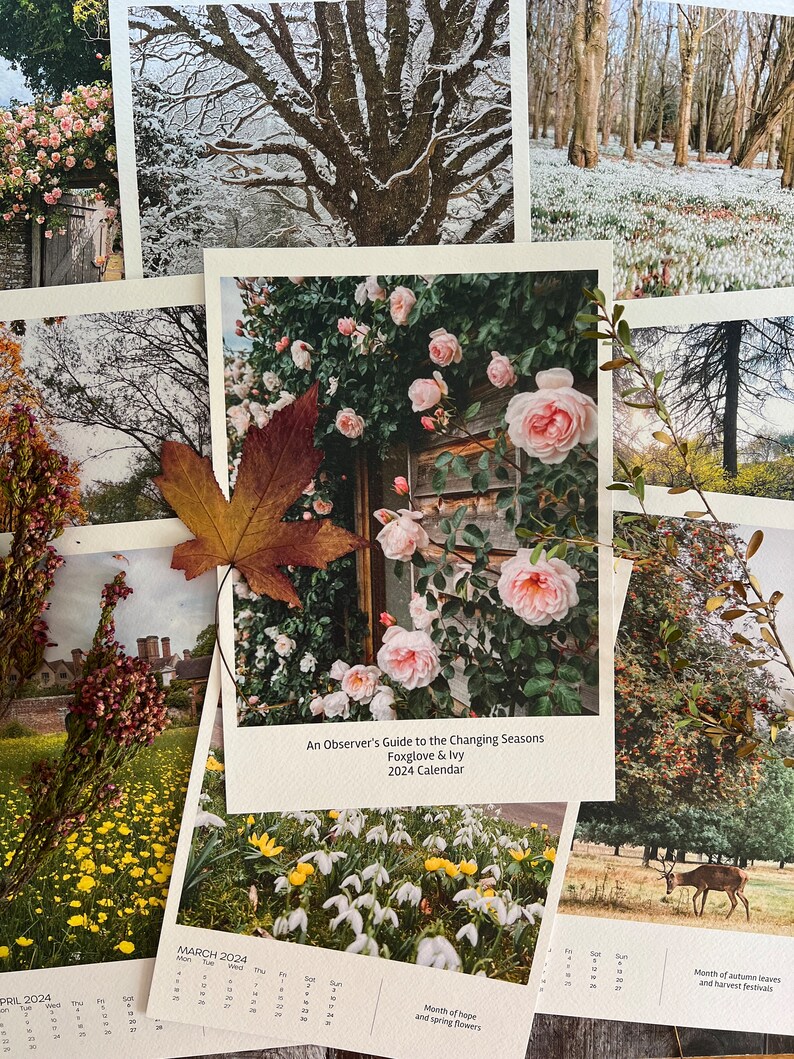 Foxglove & Ivy 2024 Calendar Etsy