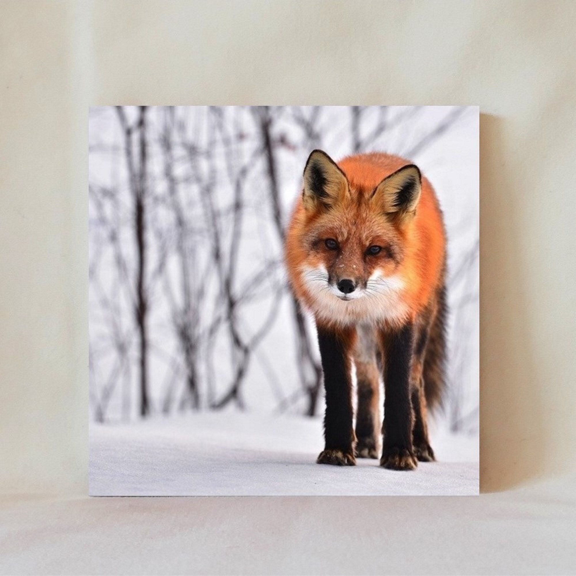 Decorative Tile 4 X 4 Red Fox Wild Animal - Etsy
