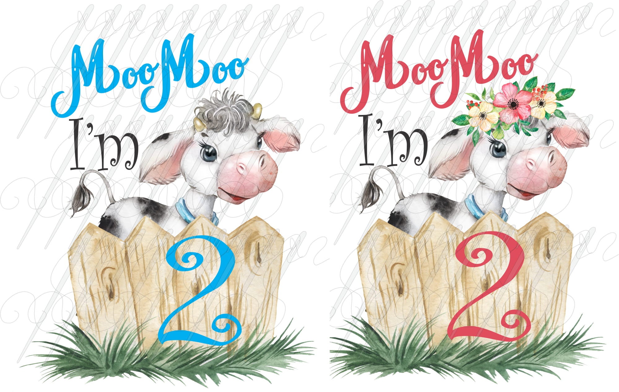 Moo Moo I'm 2 Set Cow 2nd Birthday Pink & Blue Fence Farm 