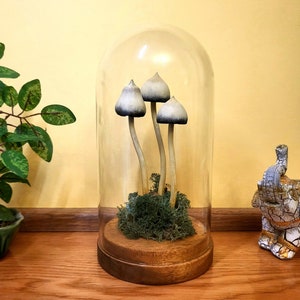 Liberty caps sculpture, magic mushroom decor, psychedelic mushroom art, psychedelic art, handmade realistic mushrooms, mushrooms nature
