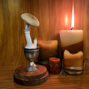 THE HOLY ONE, unique mushroom art. Mushroom decor, handmade mushroom sculpture, psychedelic art, mushroom gift