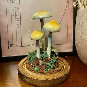 Psilocybe Azurescens Sculpture, psychedelic art, psychedelic mushroom decor,  mushroom gift