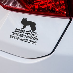 Border collie sticker leaving people wondering who is the smarter species Kiss-Cut Vinyl Decals