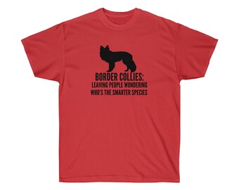 Border Collies Leaving People Wondering Whose the Smarter