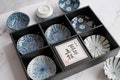 10 Piece Nordic Japanese Condiment Bowl\/ Appetizer Plate Set with Modern Stripes Floral Patterns | Blue White Petite Olive Dish in Gift Box