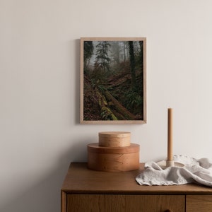 Folklore Forest Nordic Wall Art - Digital Download - Printable and Scalable with Multiple Ratios - High Res JPG Files - Scandinavian - Boho