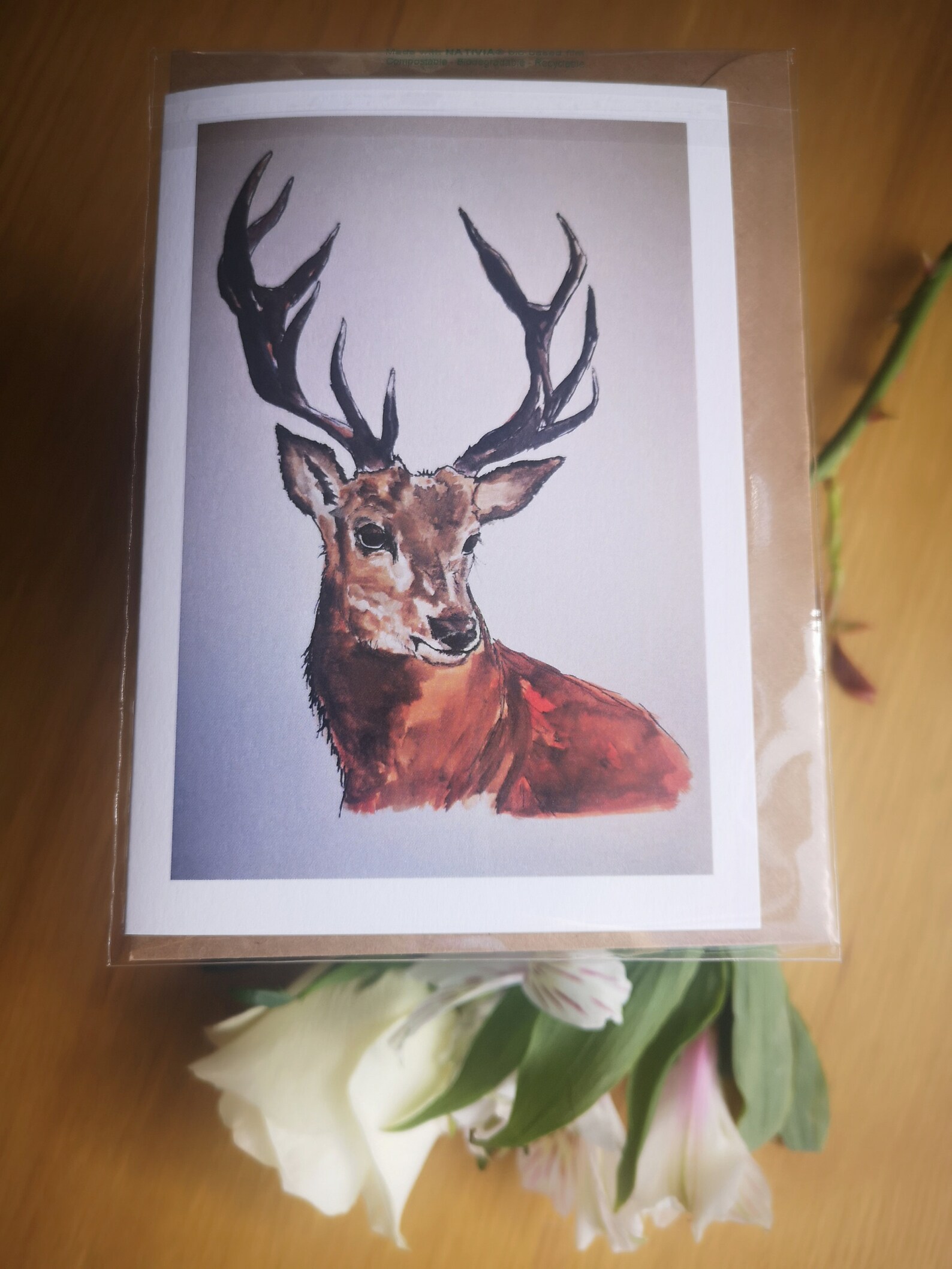 Carte de Noël du cerf. Cartes danimaux sauvages. Belle Etsy