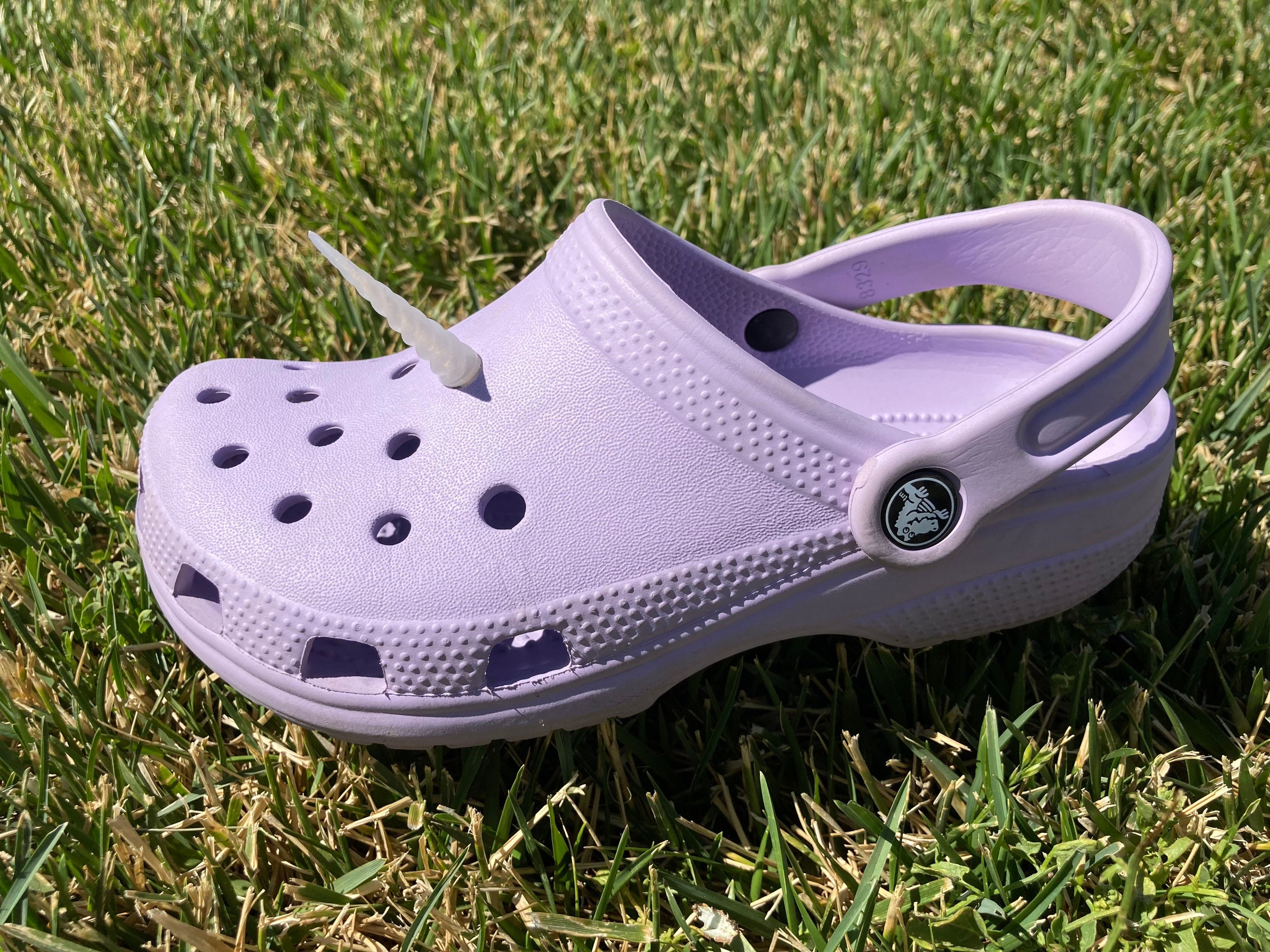 Contender for sneaker of the year, the Shrek Crocs Clog