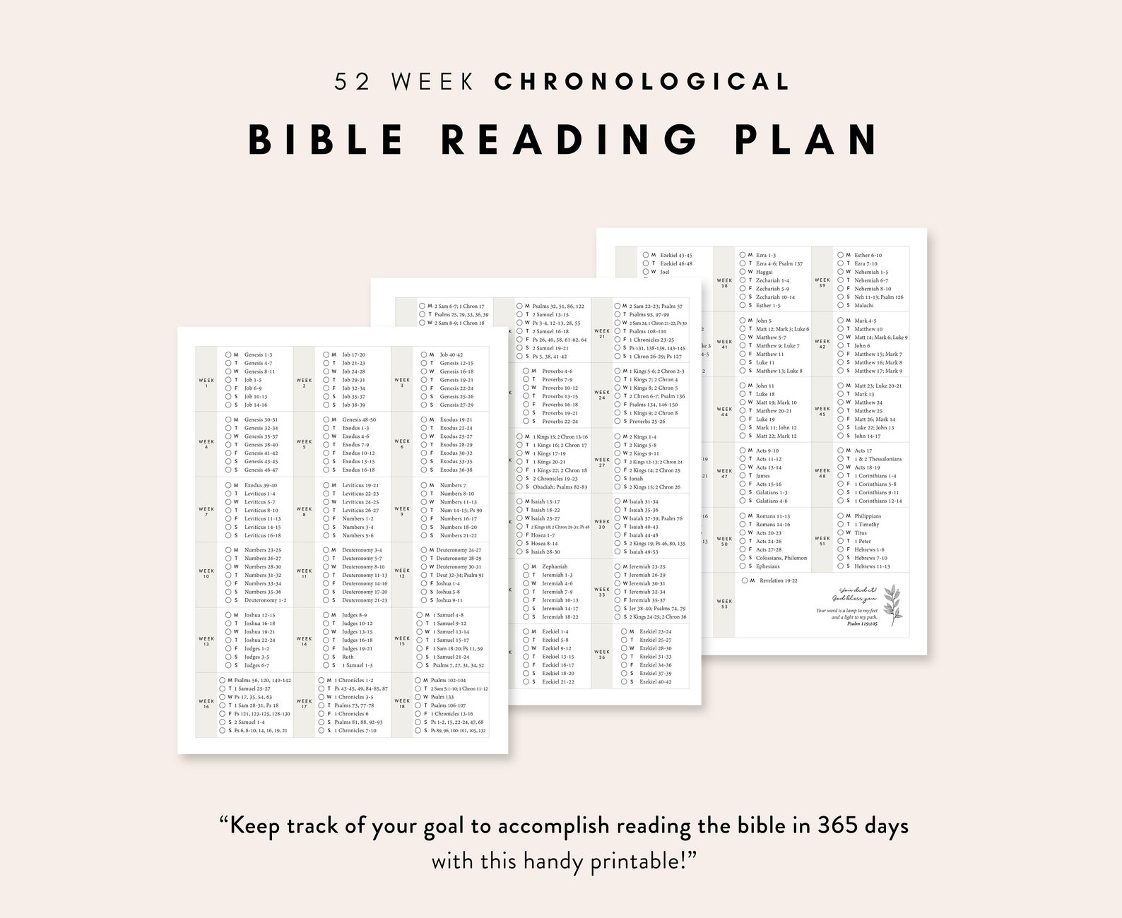 Chronological Bible Reading Plan 52 Week Bible Reading Plan Etsy
