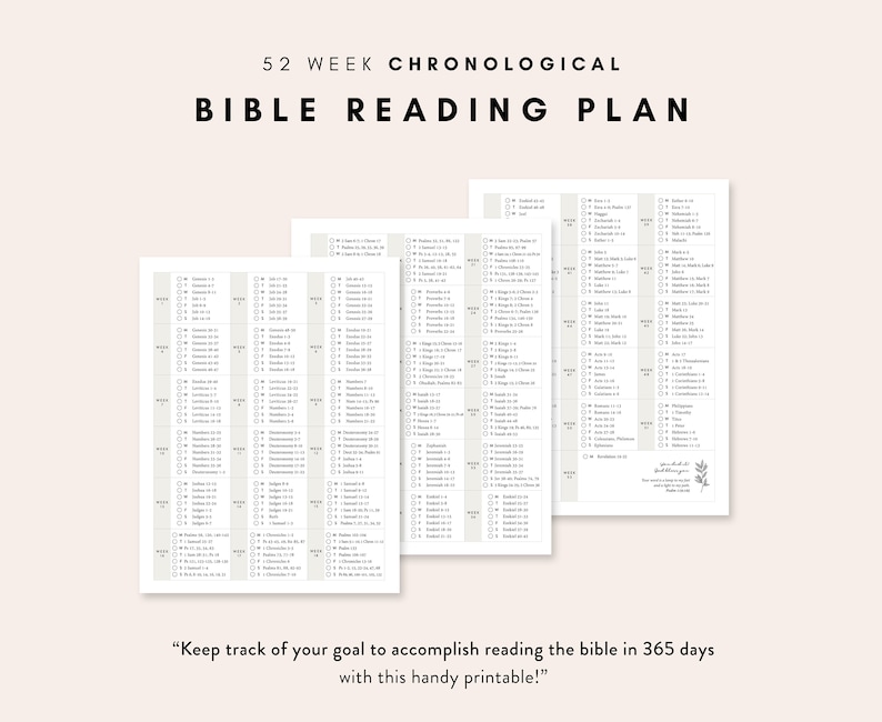 Chronological Bible Reading Plan 52 Week Bible Reading Plan 365 Days