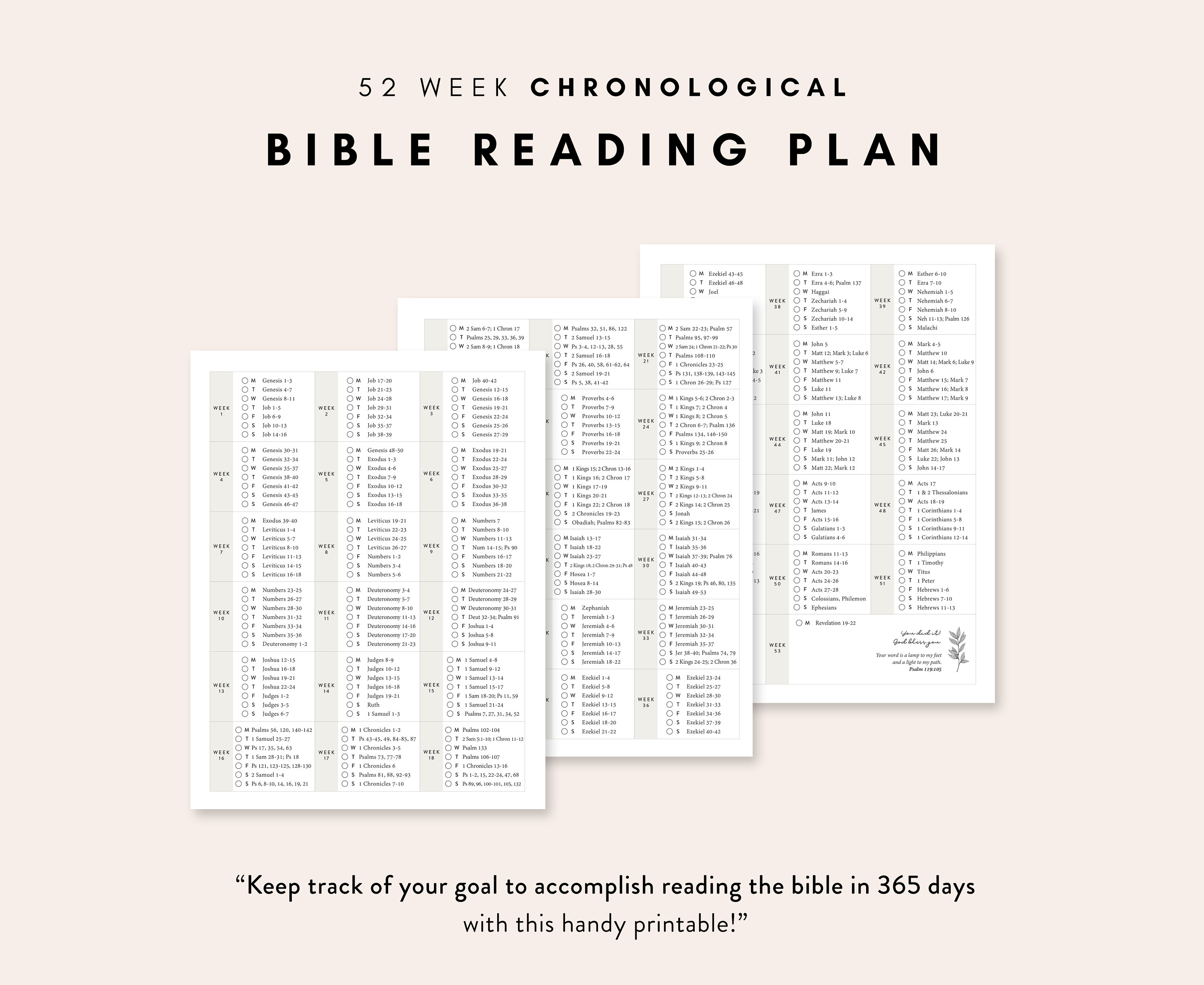 chronological-bible-reading-plan-52-week-bible-reading-plan-365-days