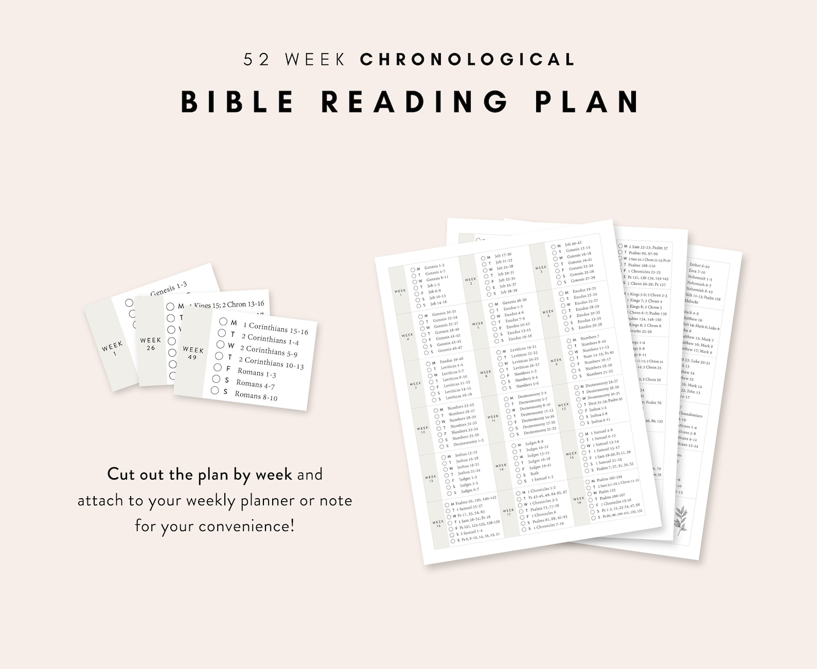 chronological-bible-reading-plan-52-week-bible-reading-plan-365-days