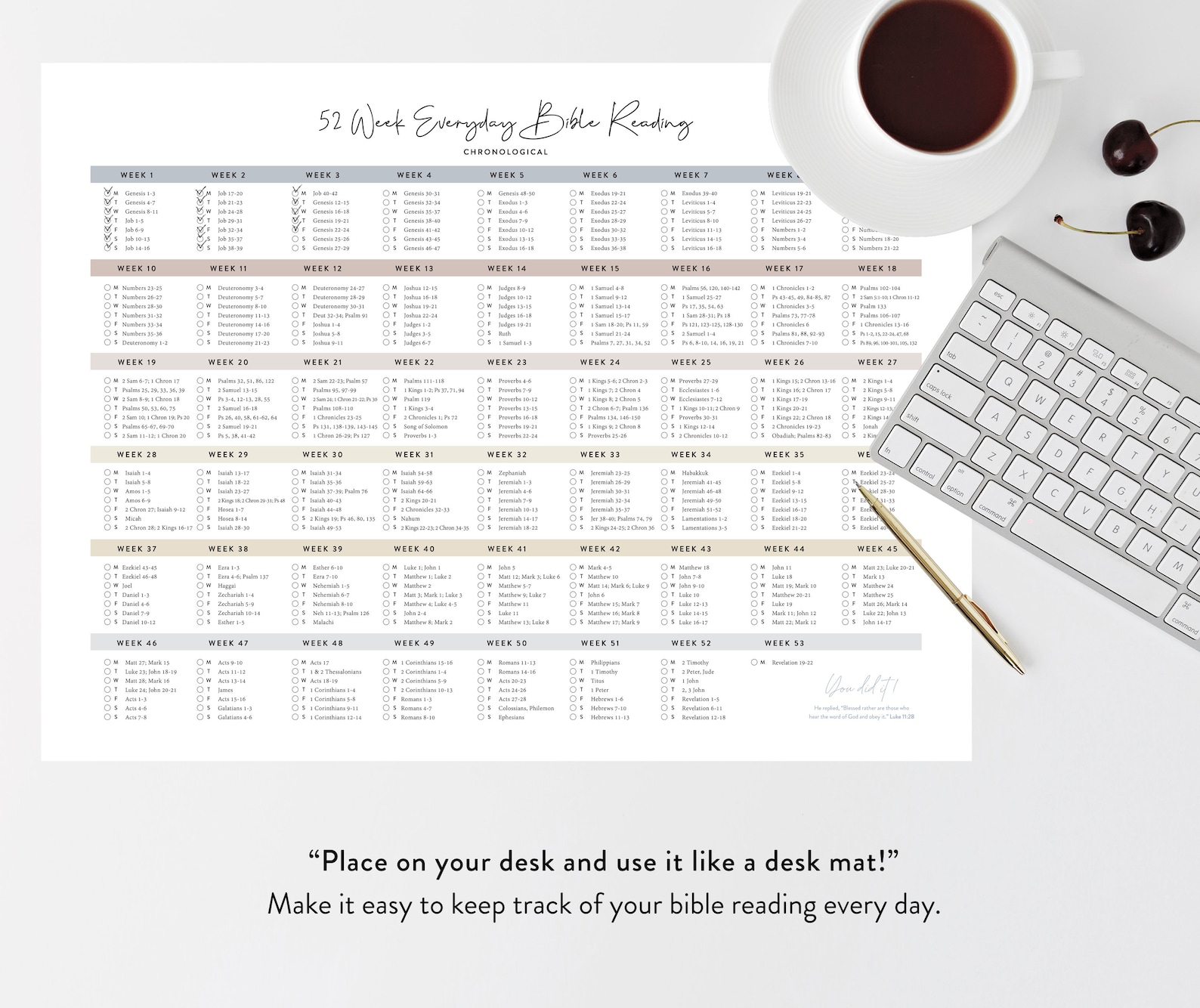 Chronological Bible Reading Plan Poster | 52 Week Bible Reading Plan ...