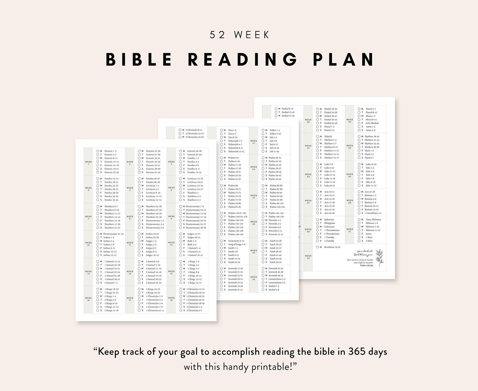 365-day-bible-reading-plan-printable