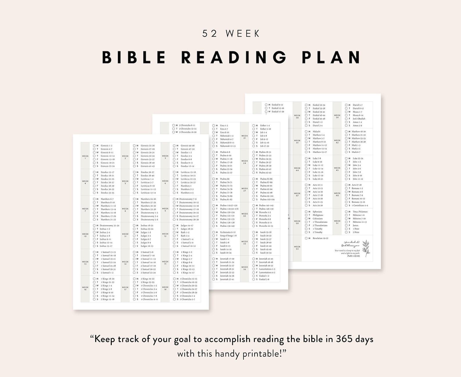 365-day-bible-reading-plan-printable