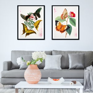 Butterfly Botanical Art Print Set, Antique Butterfly Printable Wall Art, 18x24 Prints, Above Couch Art, Butterfly Poster
