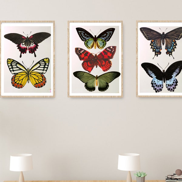Antique Butterfly Art printable, Butterfly Prints Aesthetic Posters, Colorful butterfly wall Art set Digital Download