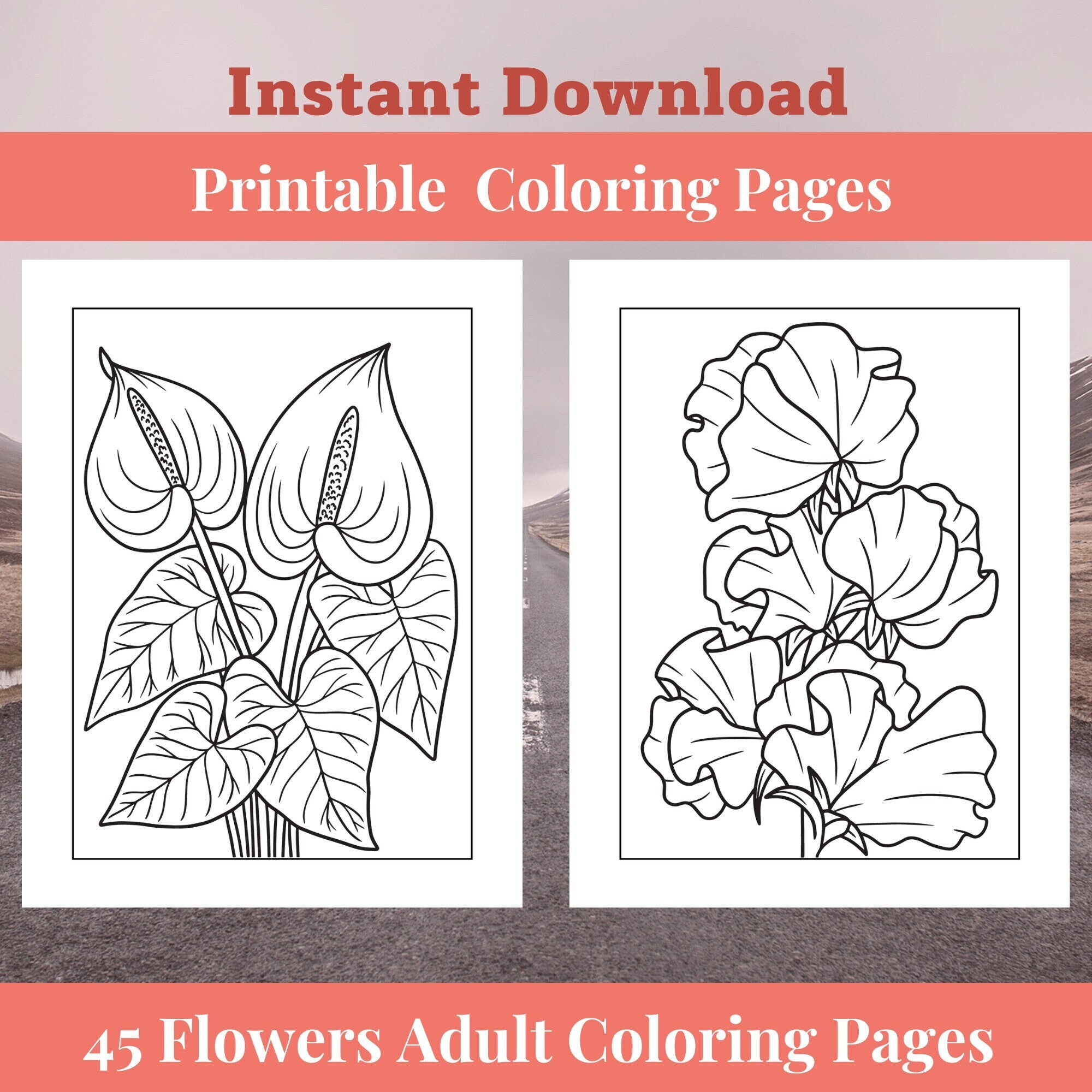 Printable Adult Coloring Pages, Flower Coloring Sheets Instant Download ...