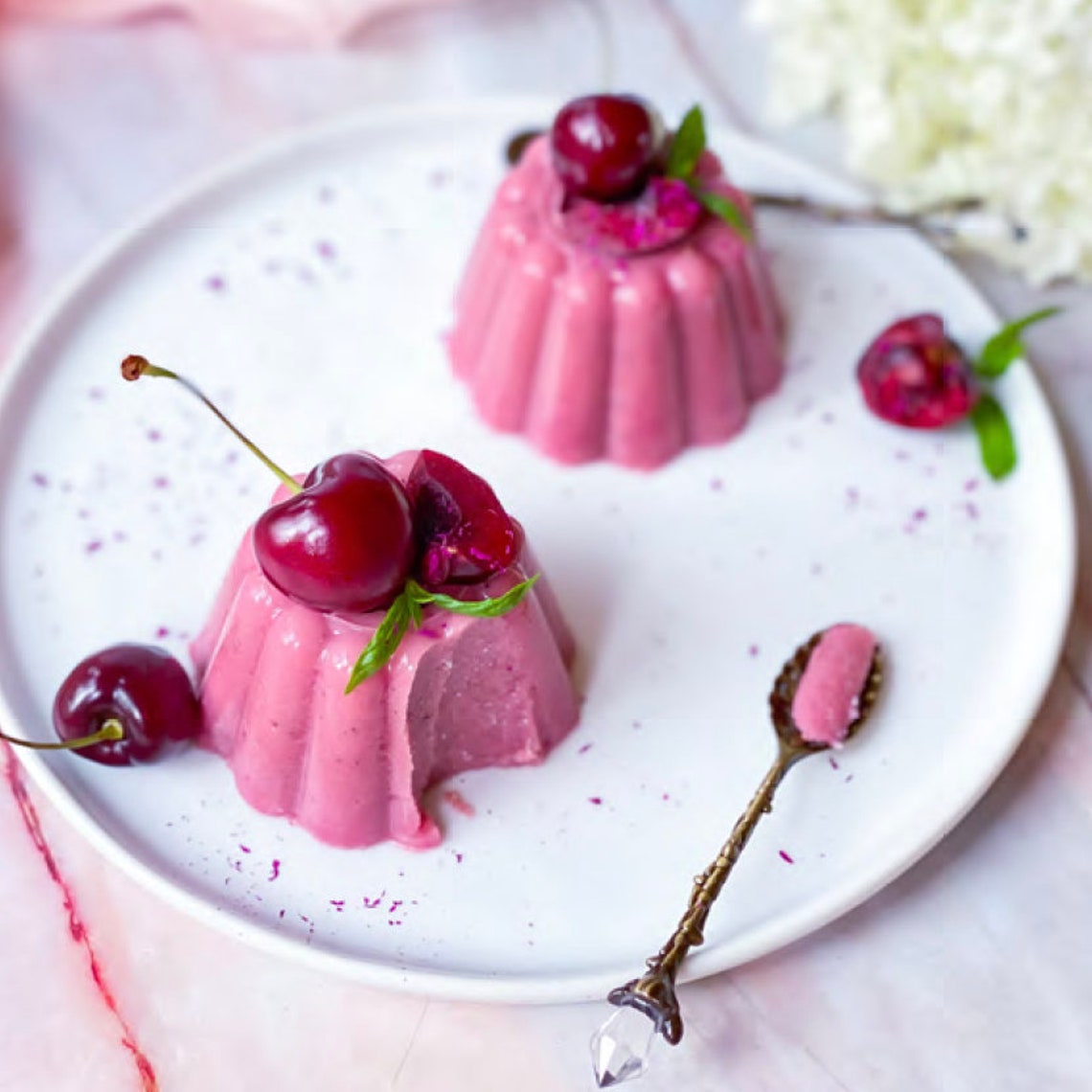 Cookbook Agar Agar Vegan, Keto Dessert Recipes 17 Recipes Etsy