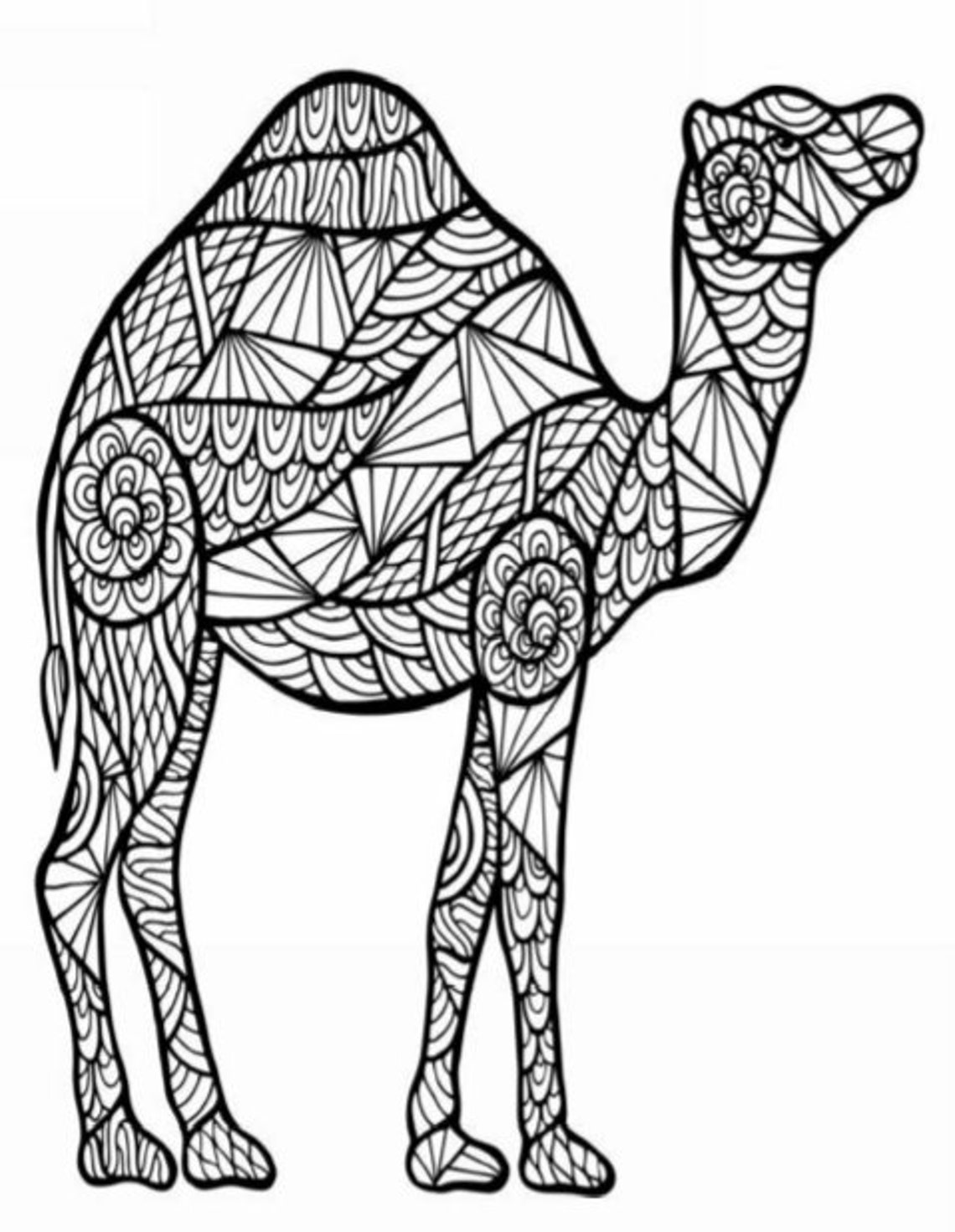 Animal Coloring Pages Advanced | Etsy