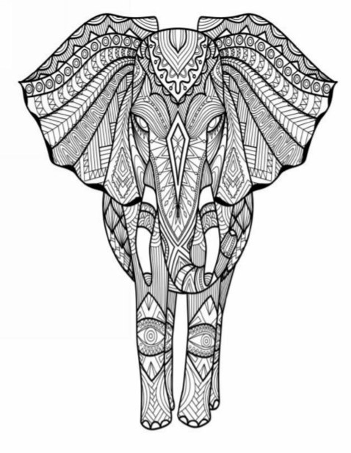 Animal Coloring Pages Advanced Etsy