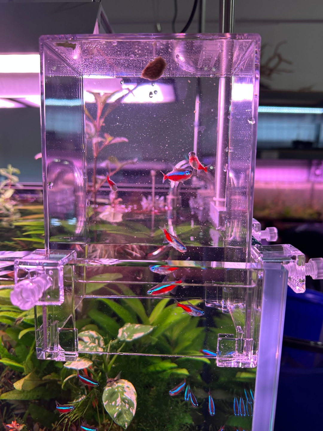 Aquarium Extender Etsy