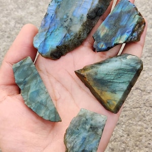 May include: A hand displaying several raw labradorite stones. The stones exhibit blues, greens, and gold hues. The rough-cut edges and natural textures of the stones are visible, showcasing their natural beauty.
