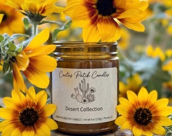 Limpieza de primavera