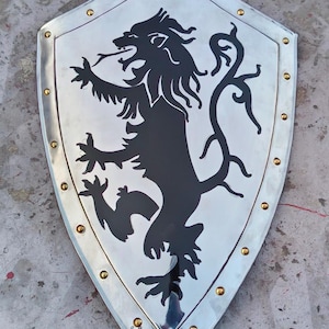 Handmade Medieval Shield: 18g Metal Dragon Shield, LARP Cosplay