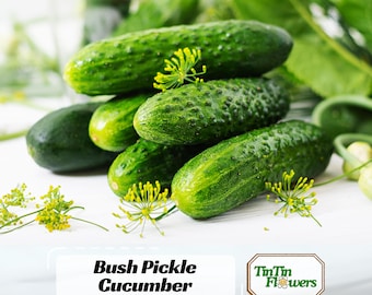 Bush Pickle Cucumber Seeds - Vegetables - Non-GMO - Heirloom - Salads - Pickling  Fresh Eating - Crisp & Refreshing Flavor