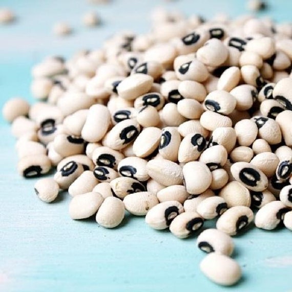Black Eyed Pea Seeds 30 Count Seeds. Etsy
